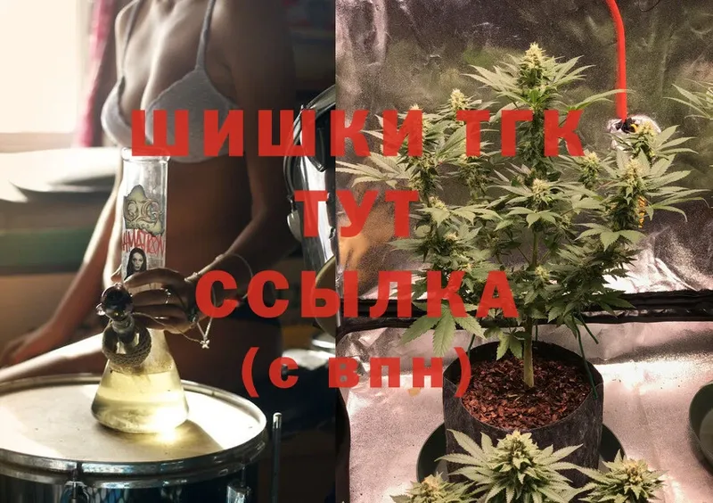 Марихуана THC 21%  купить закладку  Данилов 